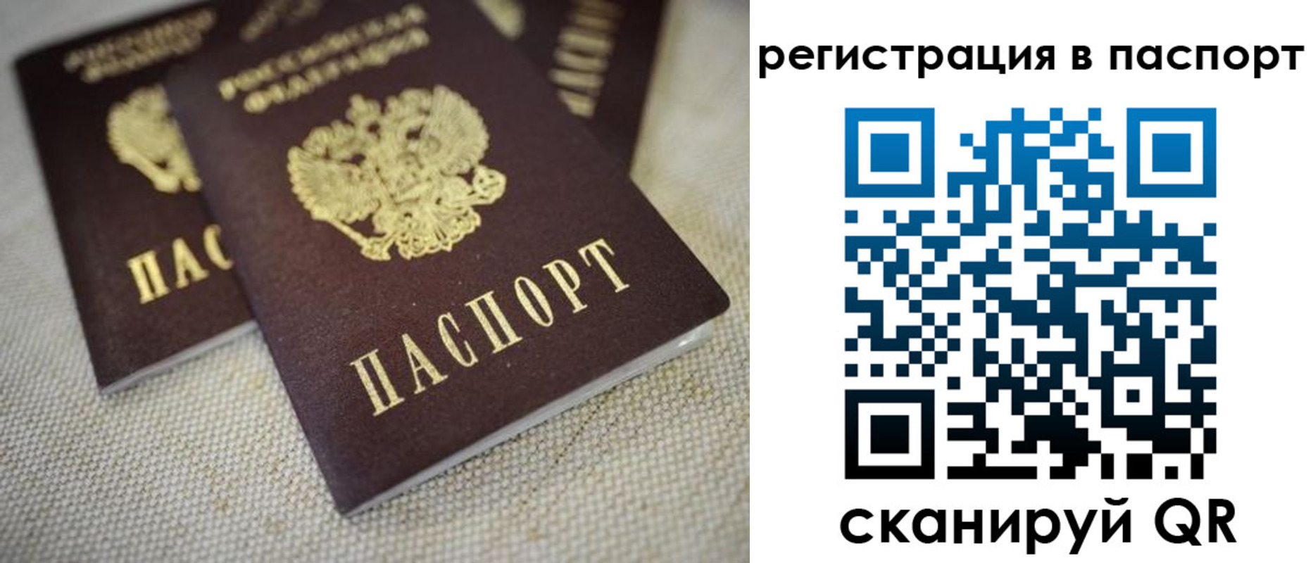 прописка гарантия в Калининске